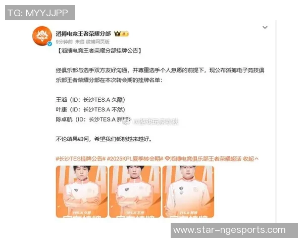 聚焦TES战队在王者荣耀赛事中的强大实力与战术解析